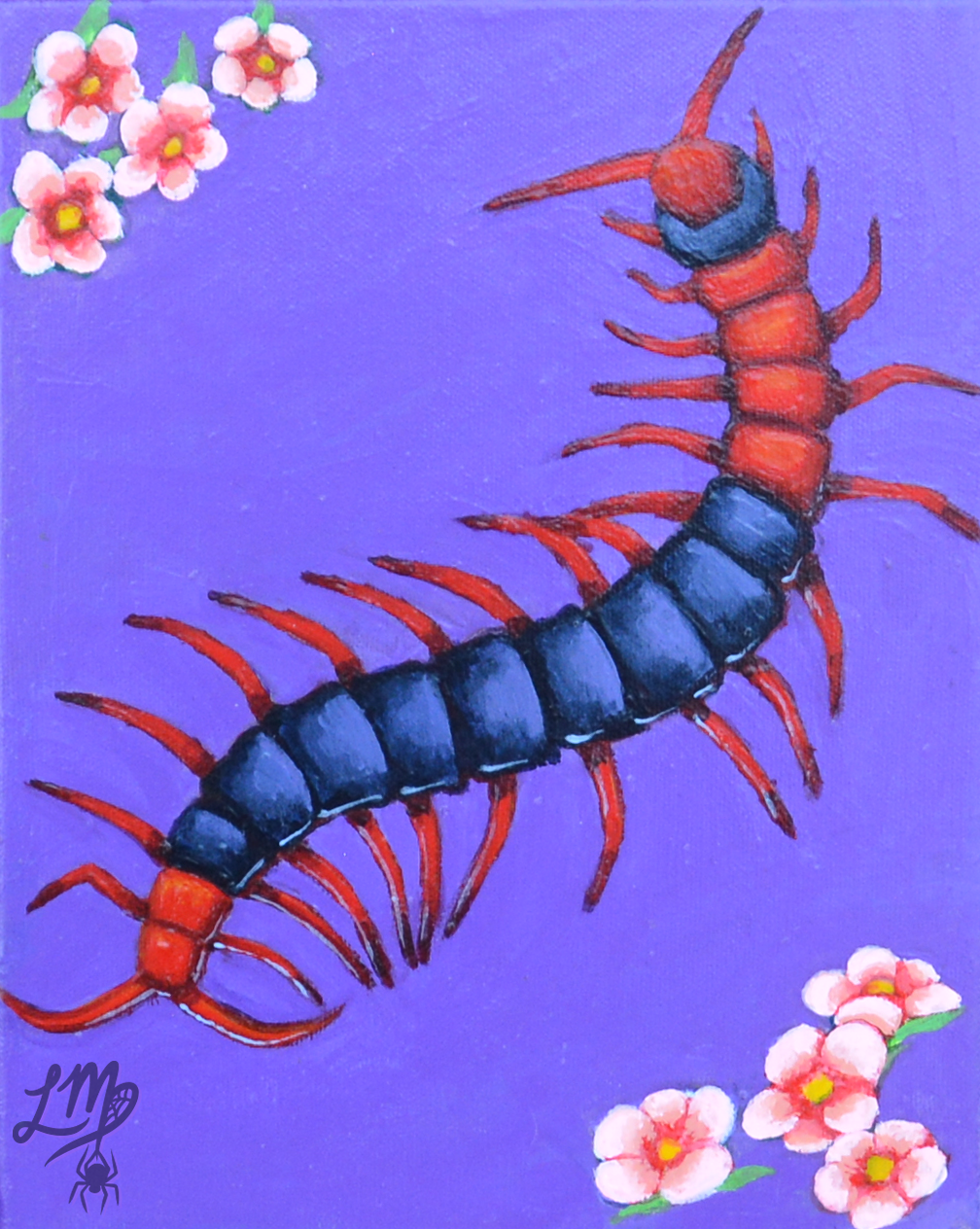 Centipede - Original