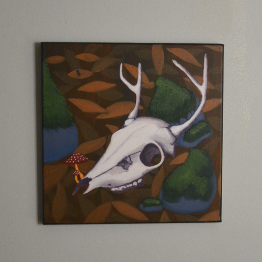 Deer Skull - Original