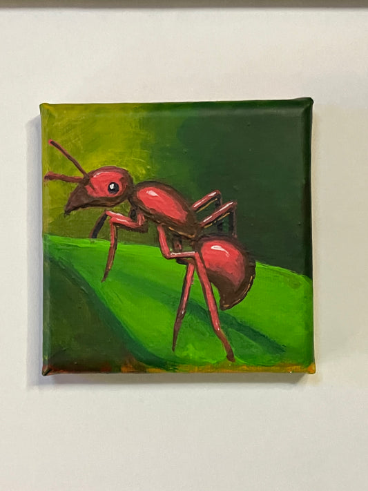 Ant - Original