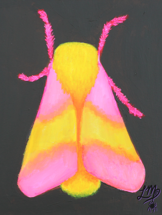Rosy Maple Moth - Original