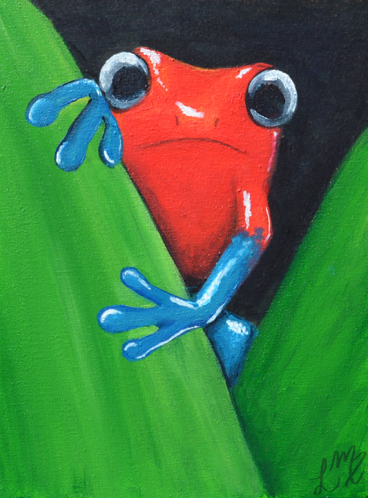 Poison Dart Frog - Print